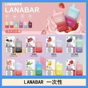 LANA BAR可充电一次性電子煙霧化5000口(3.0%)
