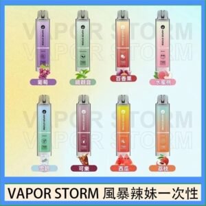 VAPOR STORM風暴辣妹一次性主機充電7500口（5%）
